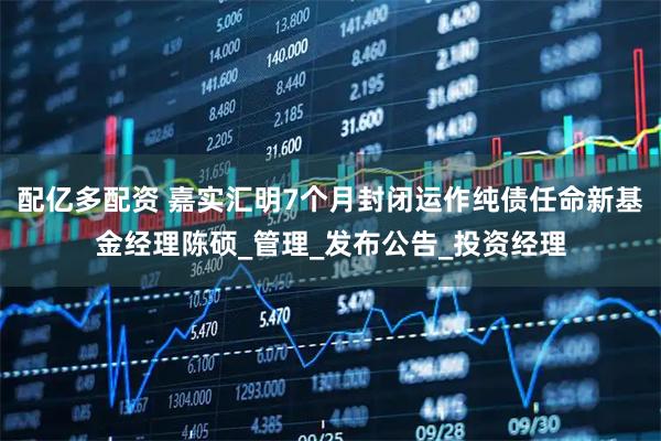 配亿多配资 嘉实汇明7个月封闭运作纯债任命新基金经理陈硕_管理_发布公告_投资经理