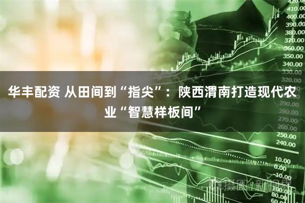 华丰配资 从田间到“指尖”：陕西渭南打造现代农业“智慧样板间”