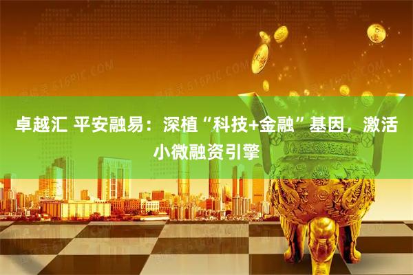 卓越汇 平安融易：深植“科技+金融”基因，激活小微融资引擎