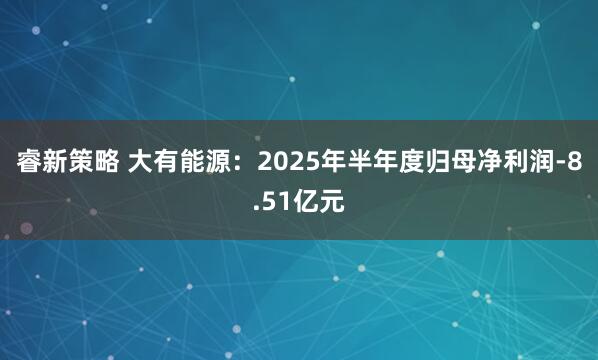 睿新策略 大有能源：2025年半年度归母净利润-8.51亿元