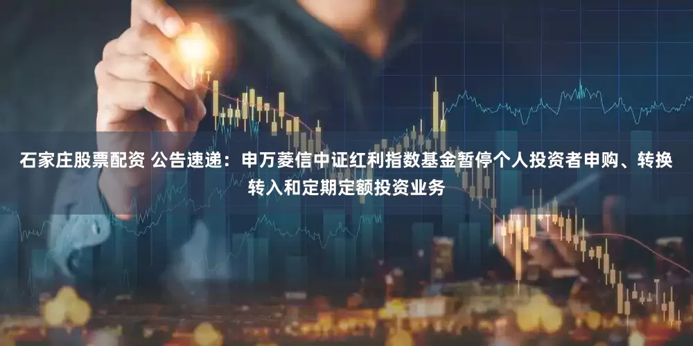 石家庄股票配资 公告速递：申万菱信中证红利指数基金暂停个人投资者申购、转换转入和定期定额投资业务