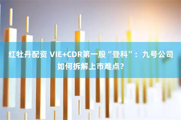红牡丹配资 VIE+CDR第一股“登科”：九号公司如何拆解上市难点？