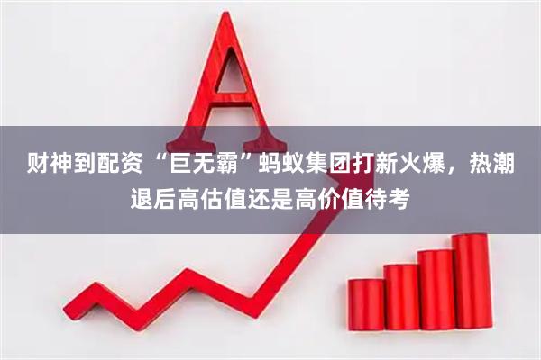 财神到配资 “巨无霸”蚂蚁集团打新火爆，热潮退后高估值还是高价值待考