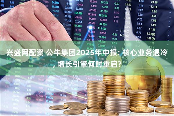 兴盛网配资 公牛集团2025年中报: 核心业务遇冷, 增长引擎何时重启?